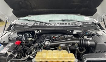 Used 2019 Ford F-150 XLT 4WD SuperCrew 5.5′ Box Crew Cab Pickup – 1FTEW1EB4KKD53773 full
