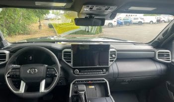 Used 2022 Toyota Tundra Platinum Crew Cab Pickup – 5TFNA5DB2NX025119 full